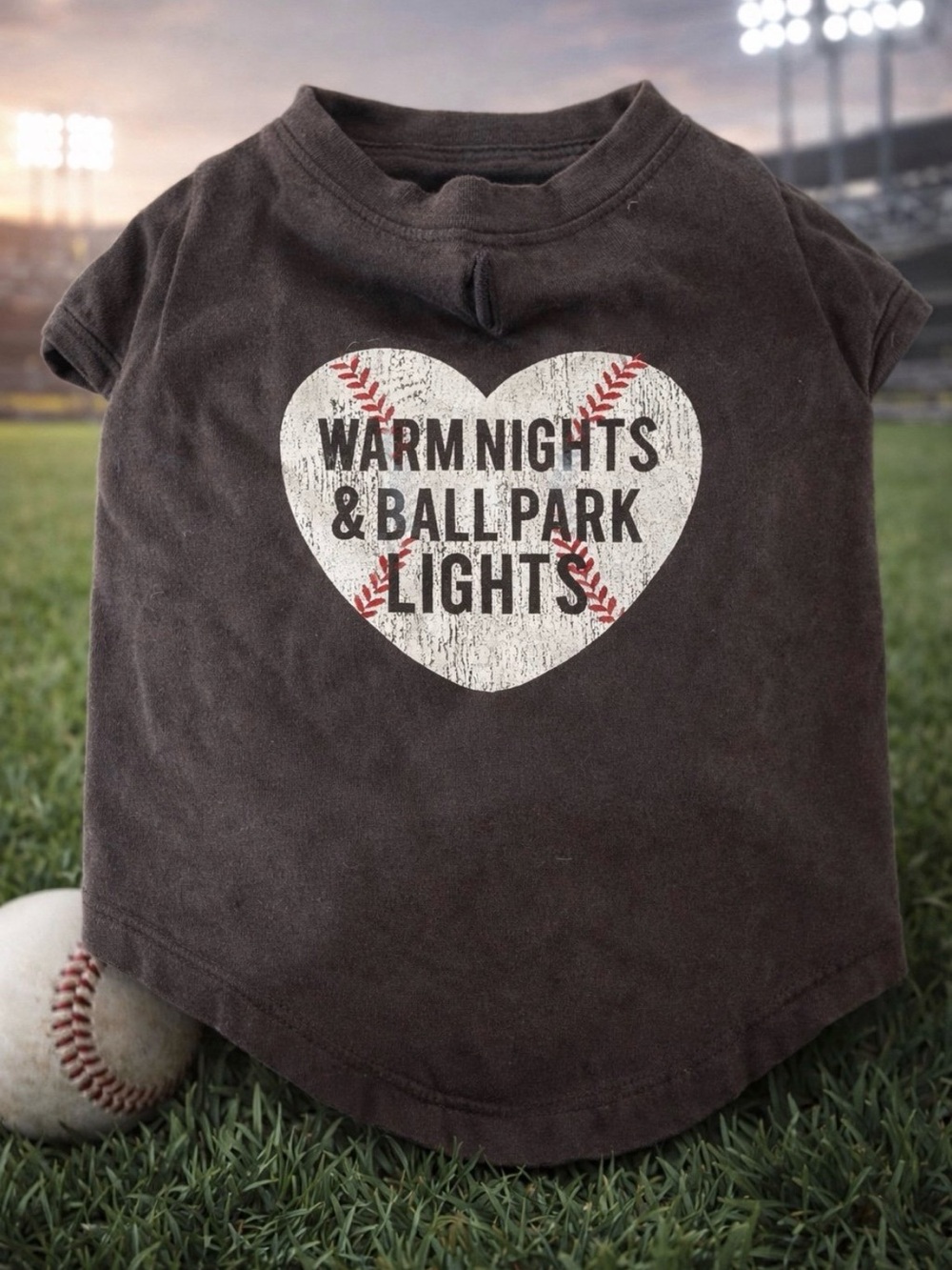 Warm Nights & Ball Park Lights Small Dog Graphic Tee